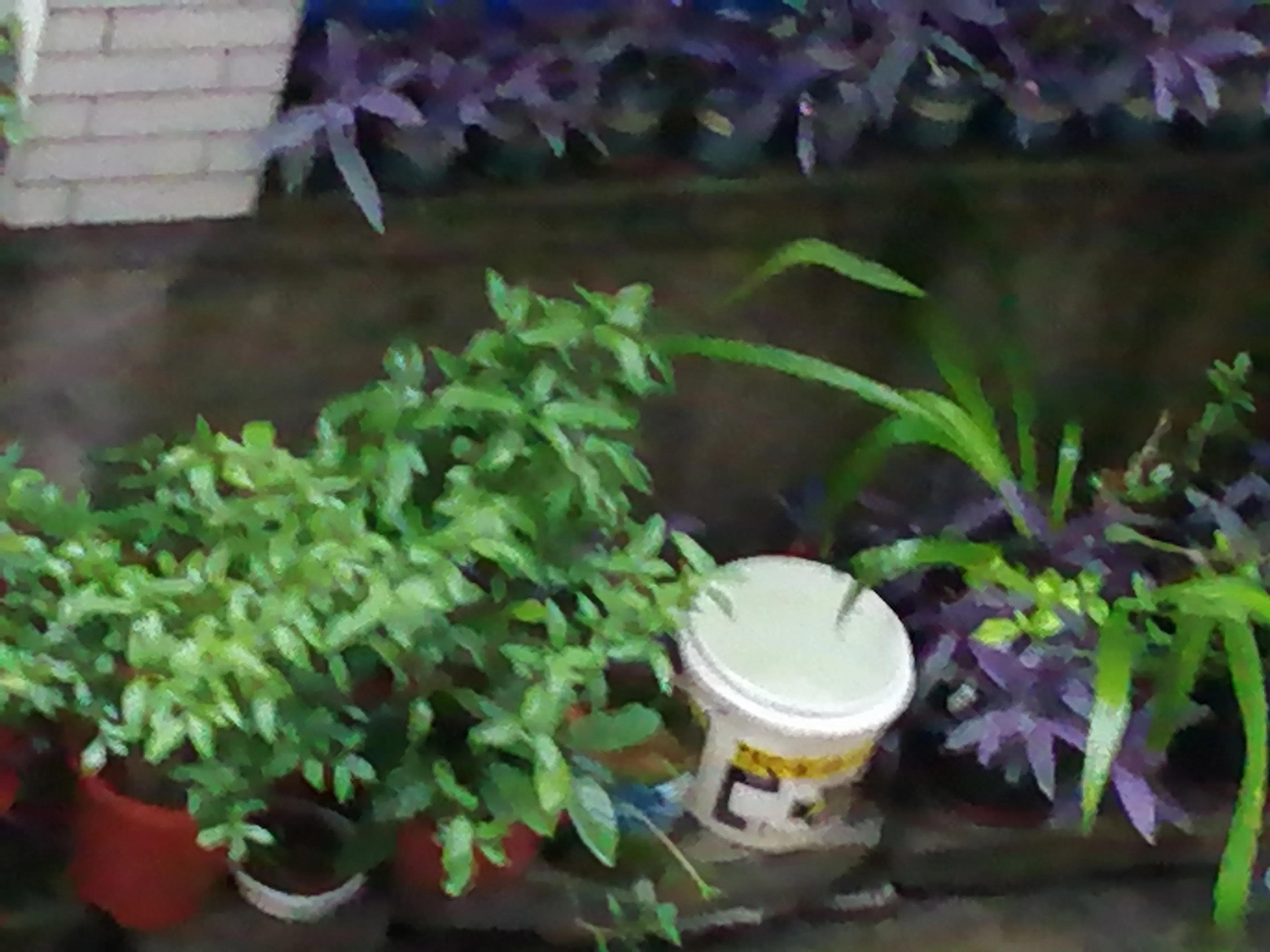 为什么别人给我打电话手机未显示,别人拨打电话手机无显示