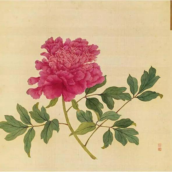 蒋廷锡牡丹画法,蒋廷锡百种牡丹画法