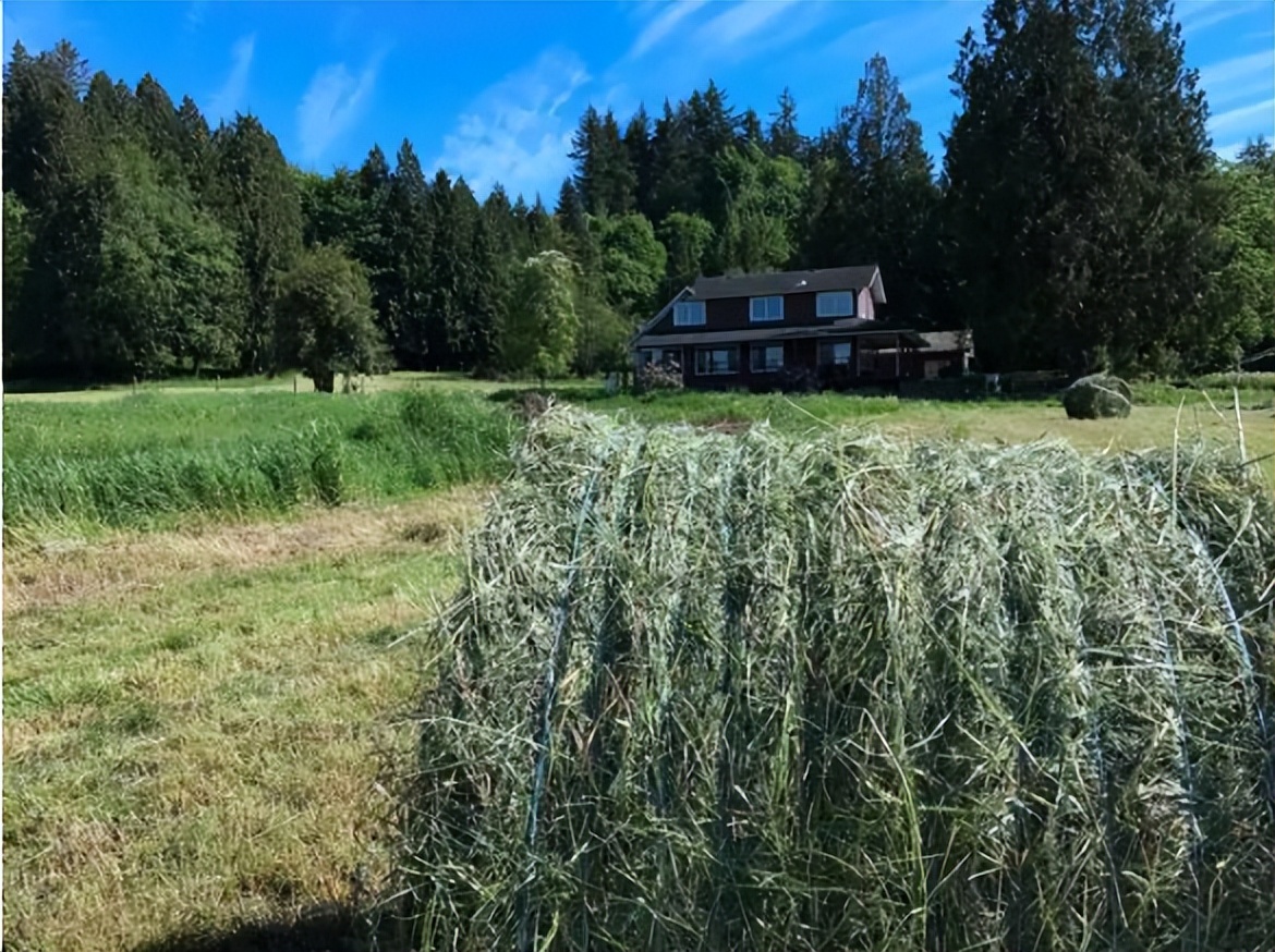涓浗缇庡コ鍐滃満,涓浗濂冲啘鍦轰富