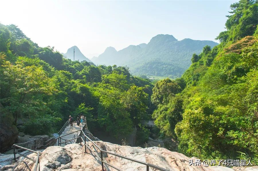 英德野渡谷轻奢民宿,清远住在山里的民宿