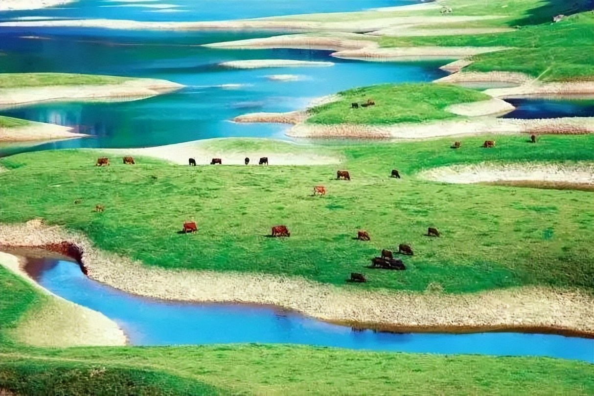 盘点那些过气网红的现状,2020年已经过气的网红