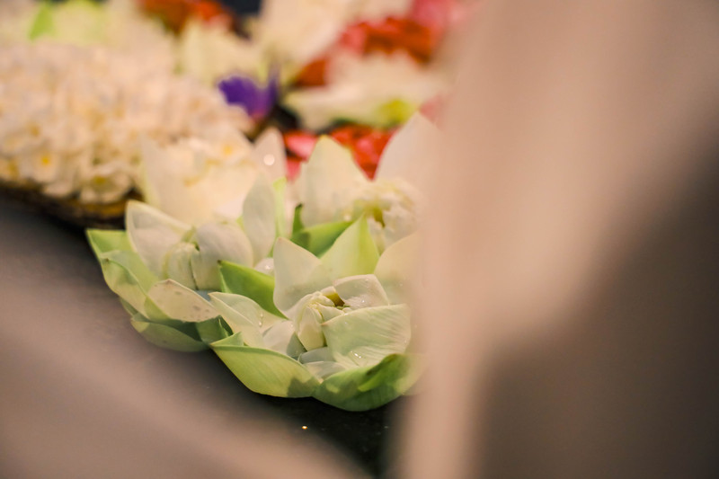 斯里兰卡旅游攻略必去景点,斯里兰卡旅游攻略最佳时间