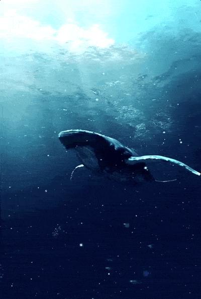 孩子一定要看的6部动画短片,一定要带孩子看完这六部动画短片