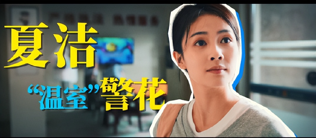 张若昀为什么又叫张无忌,张若昀为什么又叫刘佳敏