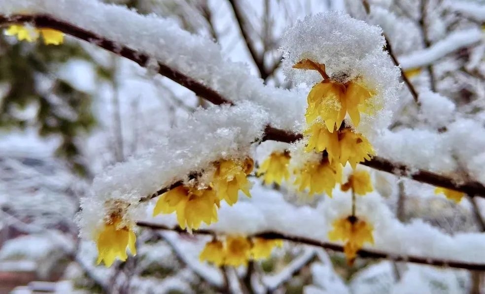 石家庄下雨哪里风景最美,石家庄冬季风景好的地方