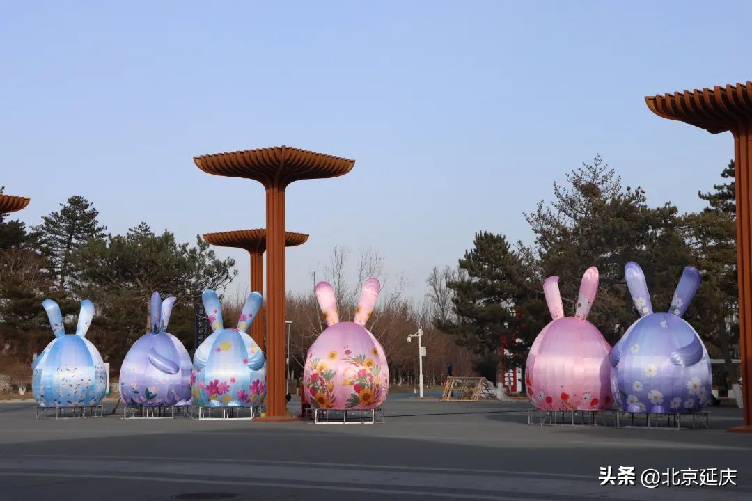 北京延庆世园公园新春闹花灯,北京世园公园花灯将点亮
