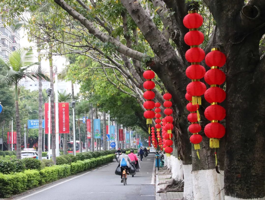 新春走基层年渐近年味浓,新春走基层石头村高挂迎客来