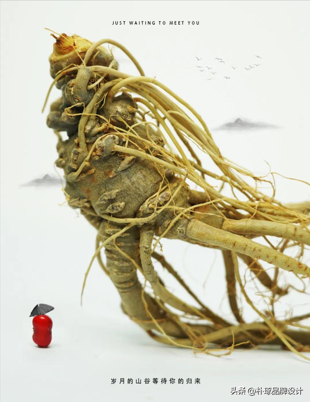 正规创意海报有哪些特点,那些让人眼前一亮的海报设计