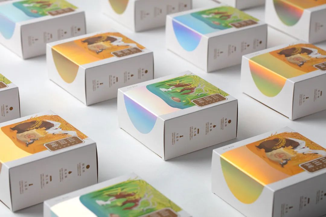 闀囨睙澶х背鍖呰璁捐,澶х背鍖呰璁捐娴欐睙