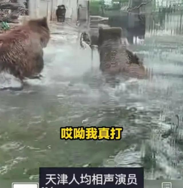 澶╂触澶уЖ鎵撴灦鎼炵瑧,澶╂触澶уЖ鎵撴灦鎼炵瑧瑙嗛