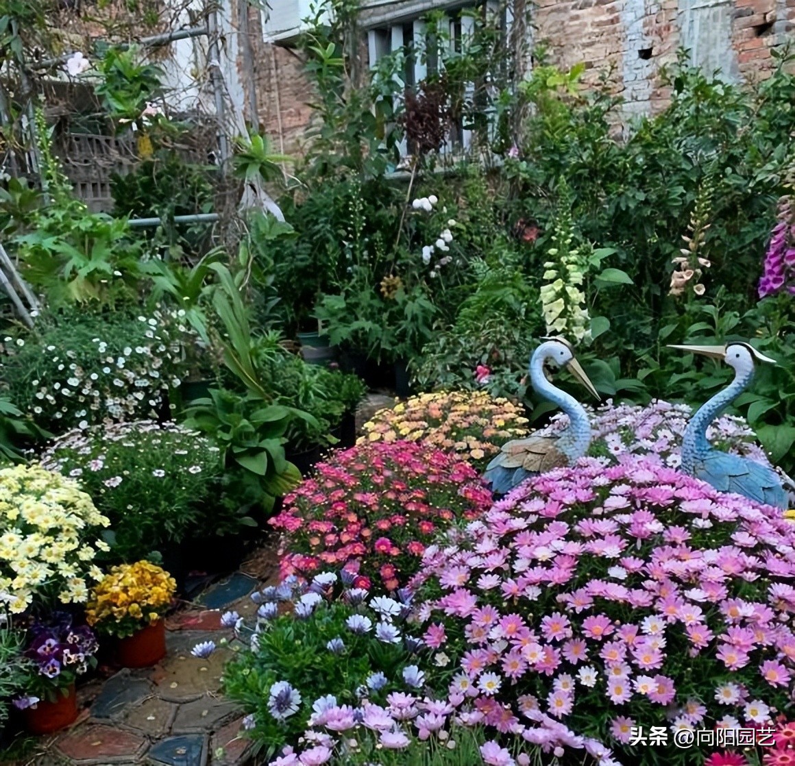 网上卖的花卉营养液有用吗,营养液浇花兑水比例1比300怎么兑