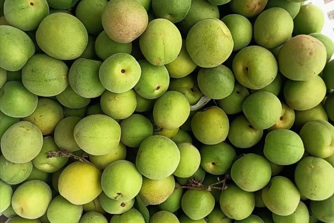 有一个水果叫什么梅子,有一个水果叫什么梅