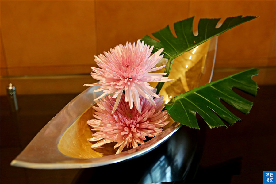 澳门最近酒店价格,澳门蔡澜星际酒店