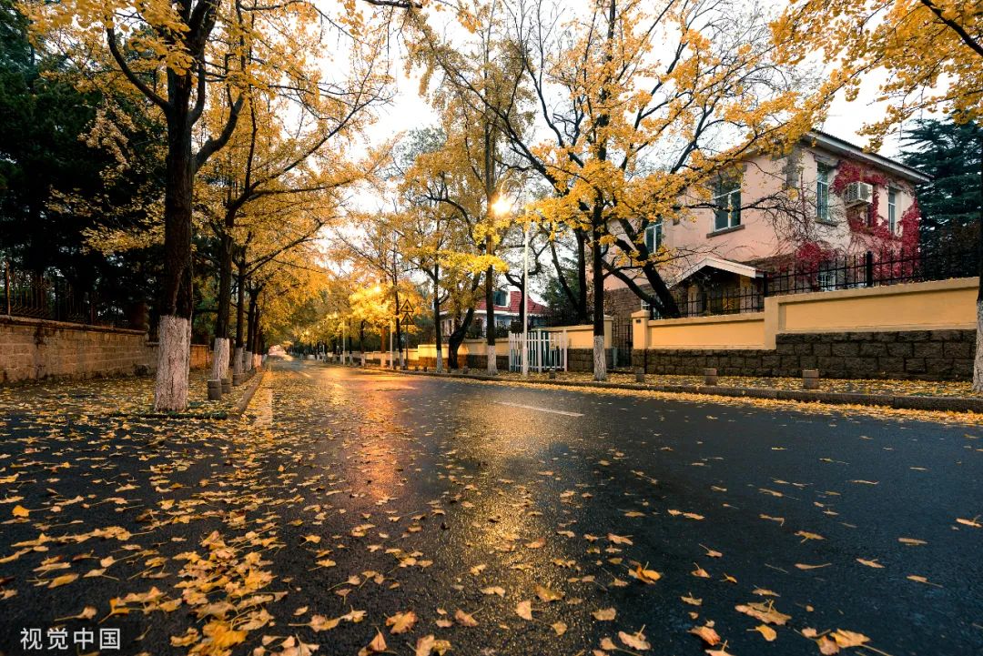 写秋雨的唯美句子短诗句,描写秋雨的优美诗句大全
