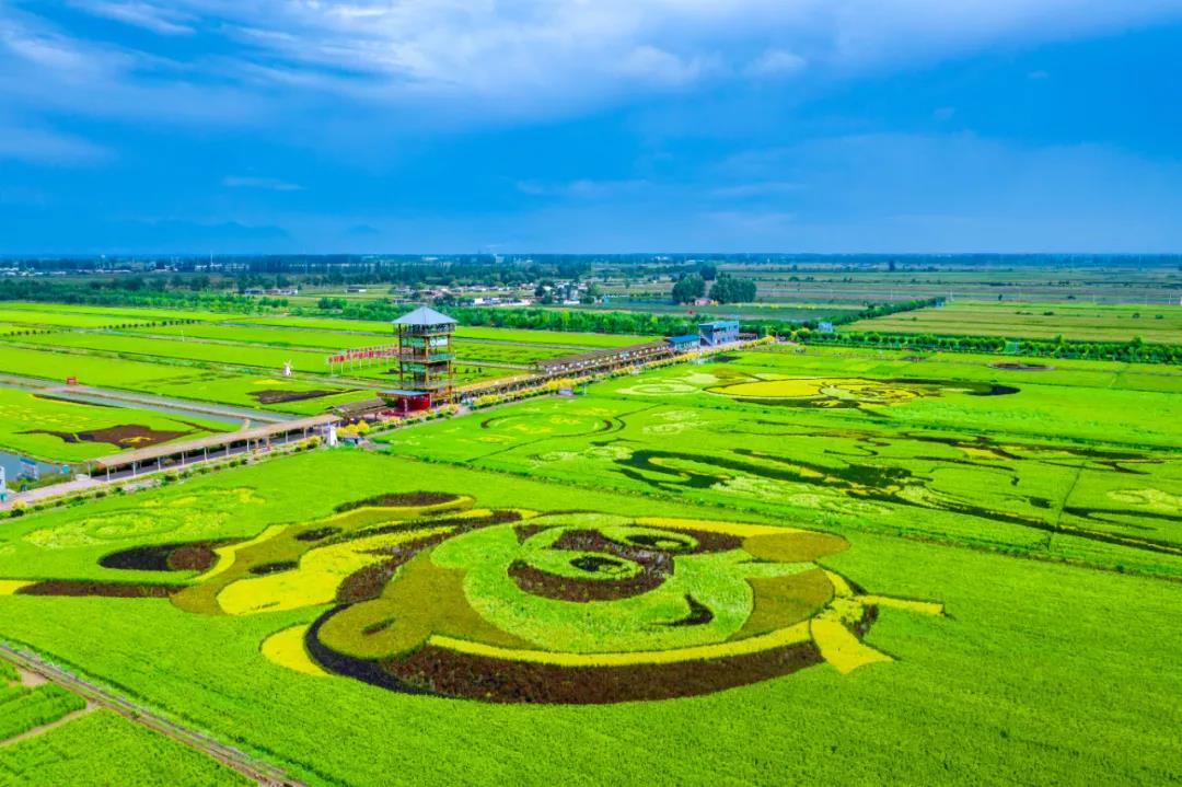 宁夏农业绿色发展,宁夏打造特色现代农业产业体系