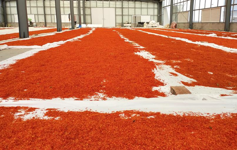 今年红花什么时候采摘,红花夏季最佳采摘时间