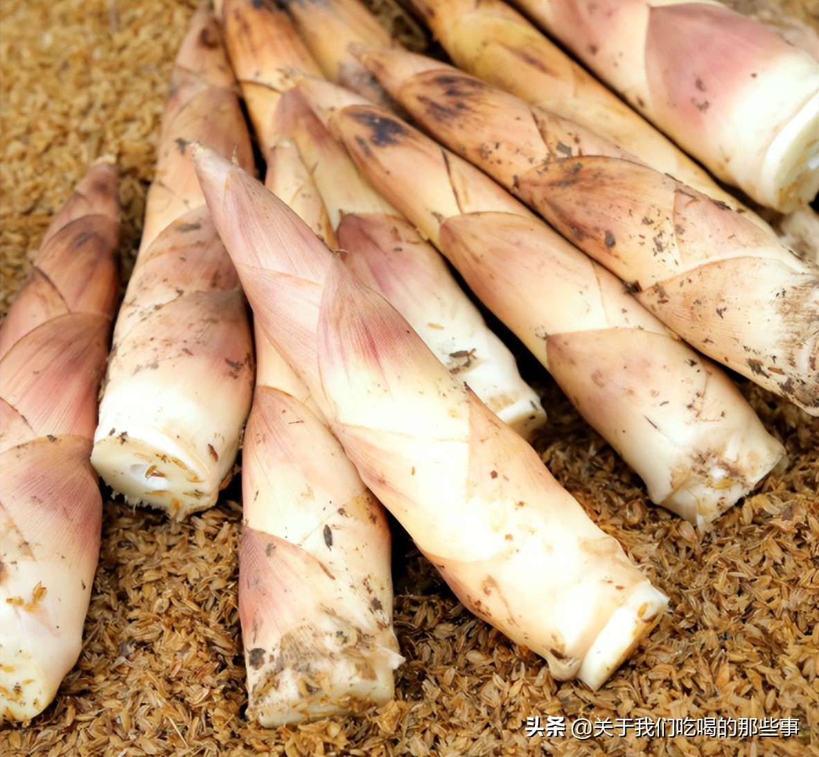 春天吃春笋禁忌多,春季吃笋注意事项