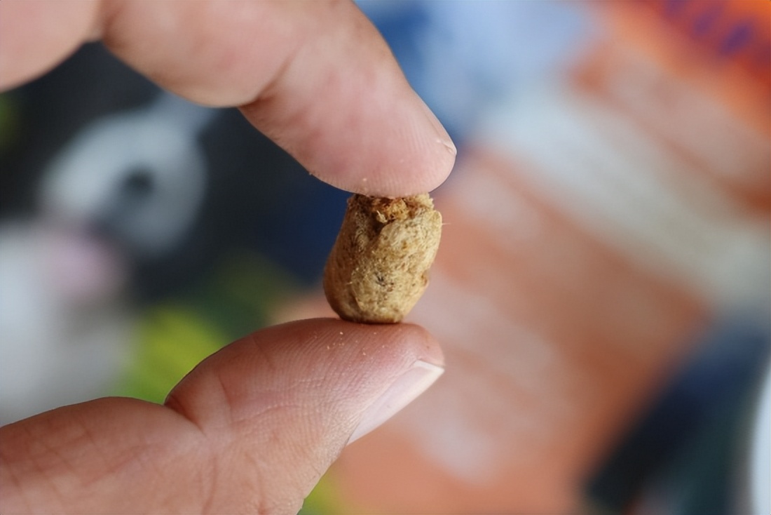 新西兰k9怎么辨别真假,新西兰k9冻干临期