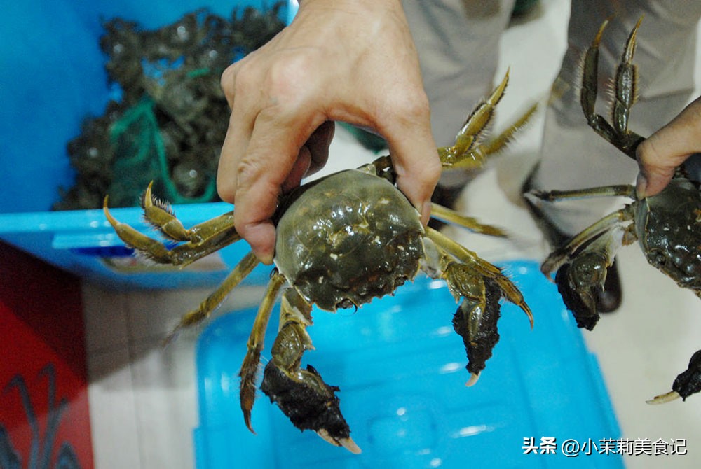 怎么保存螃蟹放冰箱,螃蟹蒸完放冰箱冷冻可以保存几天