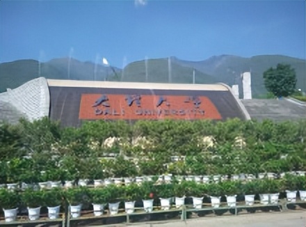 博学达真大德至理的含义,中庸大理大学