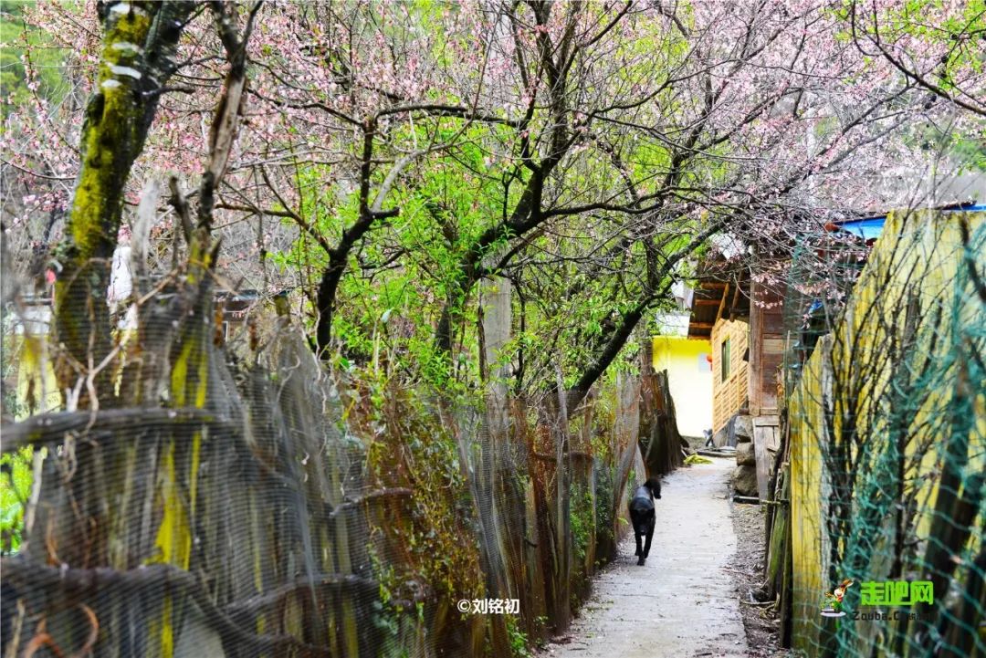 云南独龙江公路自驾游,独龙江自驾旅游攻略大全最新