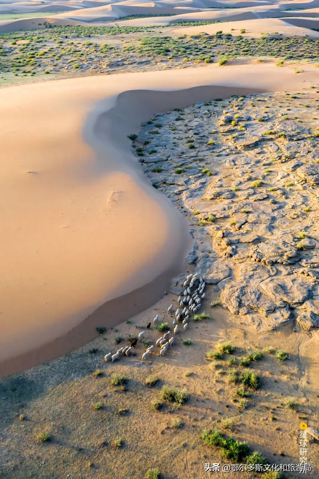 鄂尔多斯的特点,鄂尔多斯现在什么样