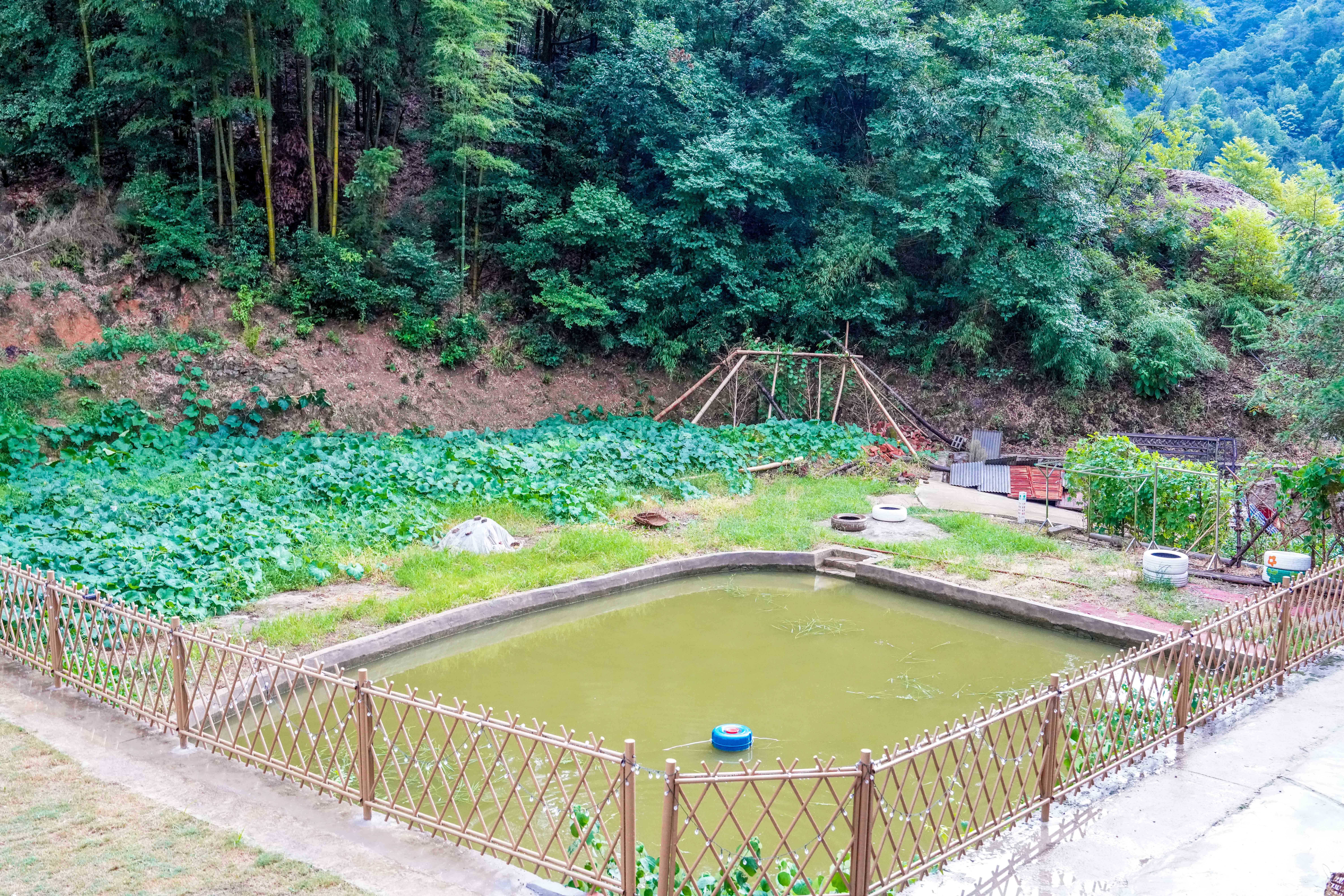 韶山旅游住哪个位置方便,韶山旅游住景区里面好吗