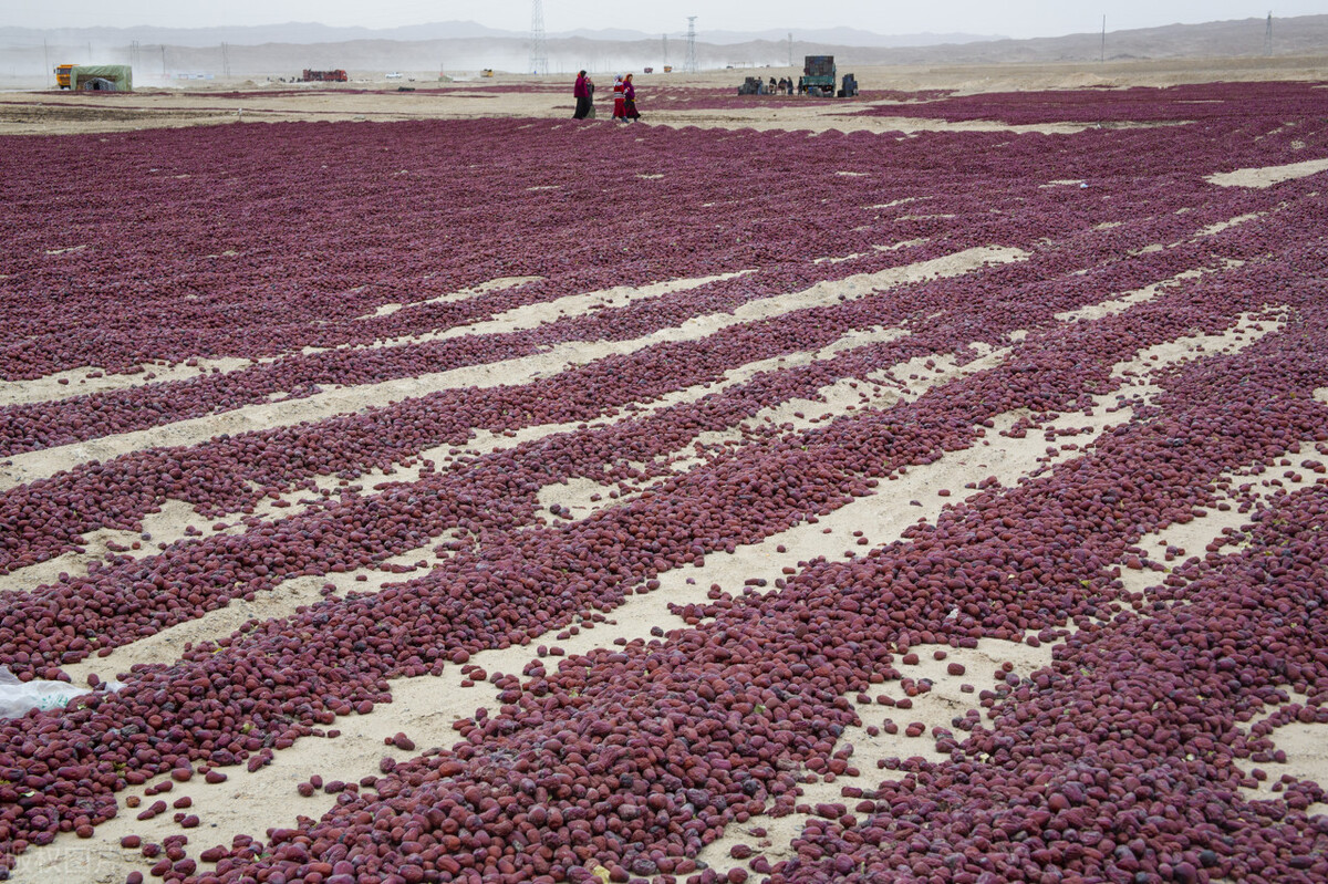 47岁的我，每年冬季来*疆新**做生意，养活了我们一家人，很知足