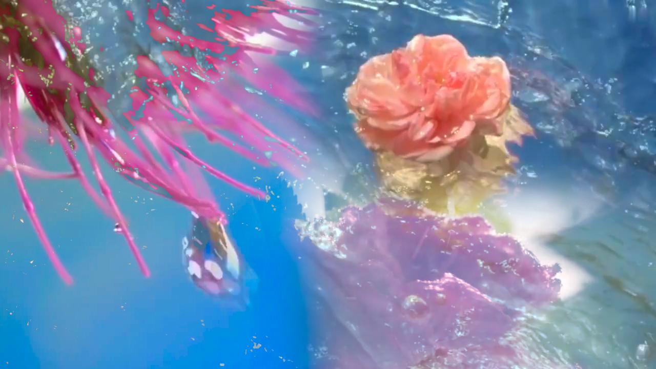 中国诗词大会诗词知识点整理,中国诗词大会积累诗词知识