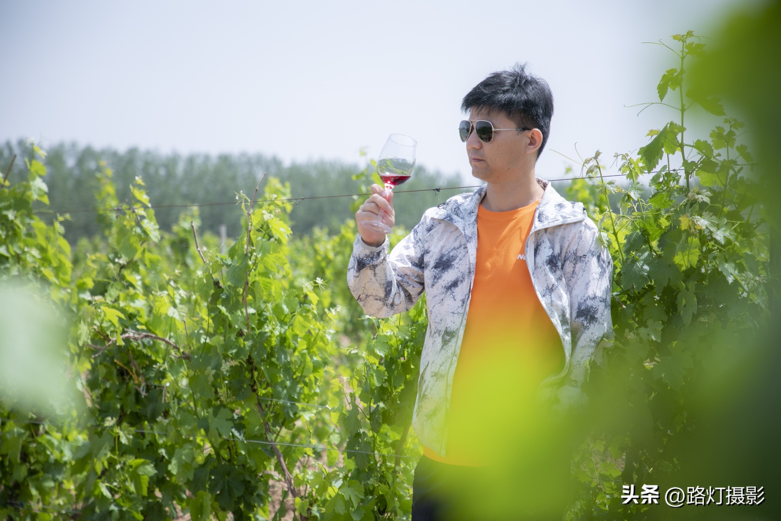 波尔多顶级酒庄,波尔多有哪些列级酒庄