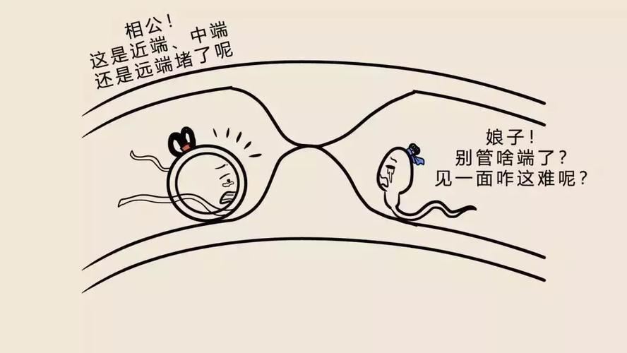 孩子会不会长得像前男友？那些没有成功的精子，最终去了哪里？