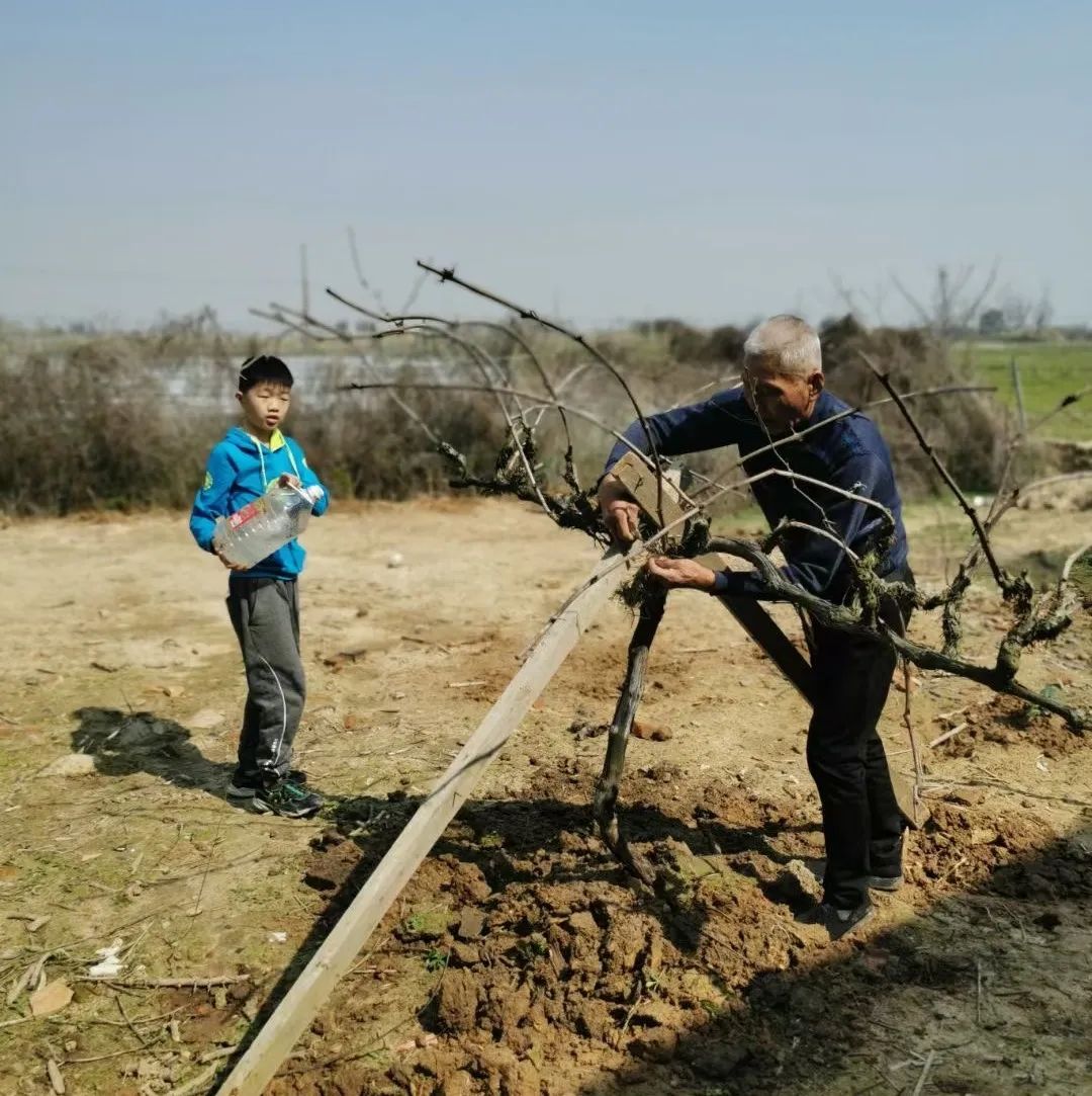 发展“禾下经济”亩收益达1万元！“小明大米”走稳高端赣米品牌