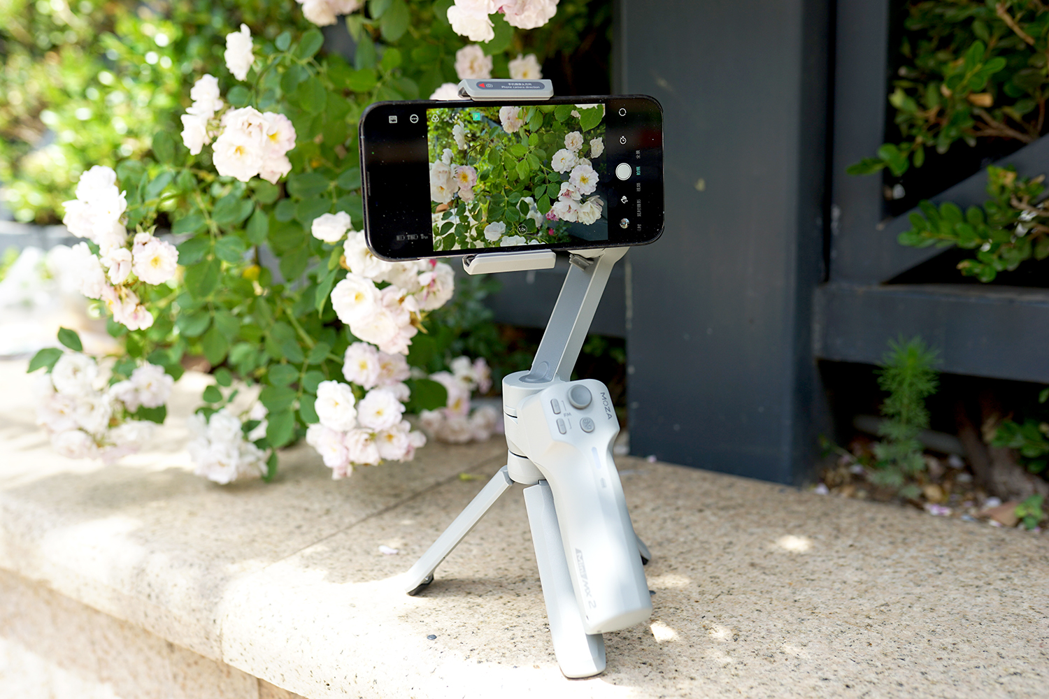 盘点大型真香,盘点大型真香现场