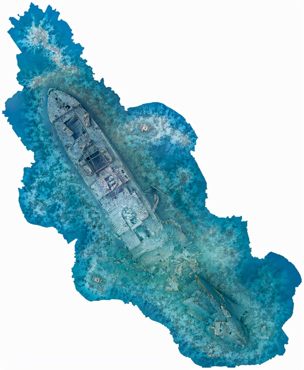 你最想知道的科学图片,你最喜欢哪一张图片