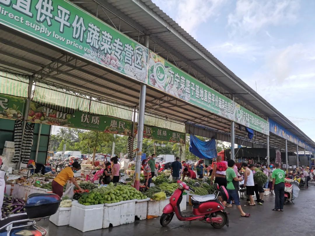 万宁菜篮子平价菜在哪里,万宁菜篮子平台