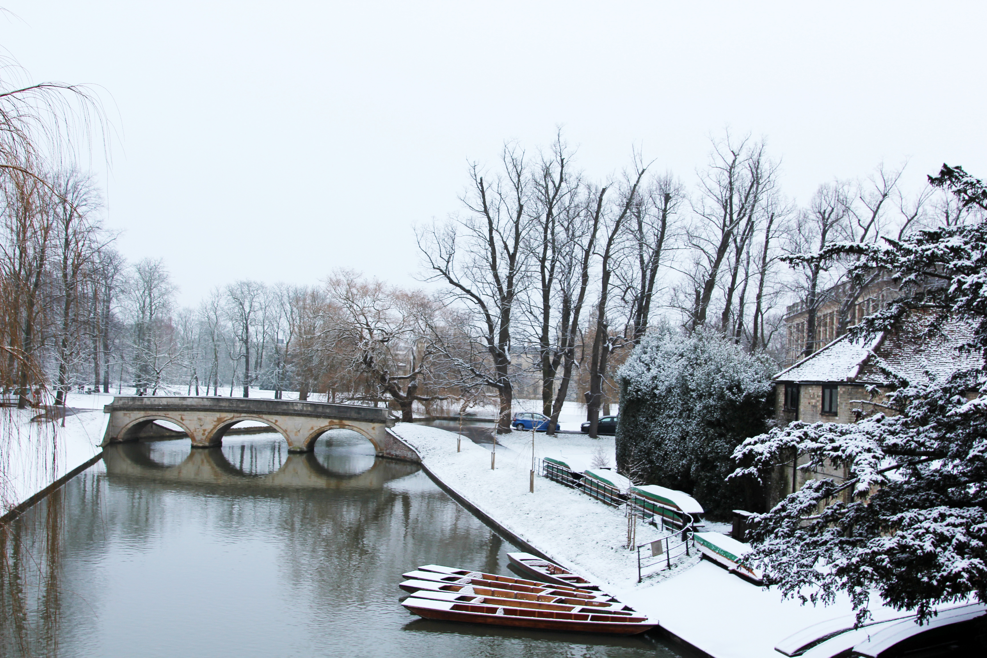 剑桥大学三一学院苹果,访清华学子