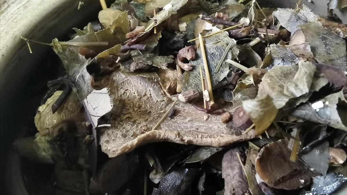 口中有咸味与肾虚有关系吗,肾虚嘴里发咸吃什么药