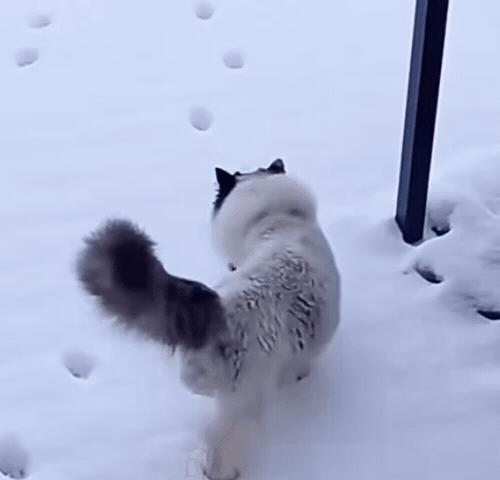 沙雕搞笑表情包头像,沙雕搞笑表情包图片静图