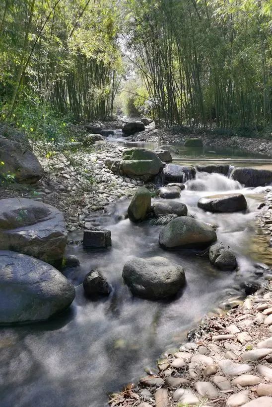 深圳推荐的20个宝藏公园,北京宝藏公园景点