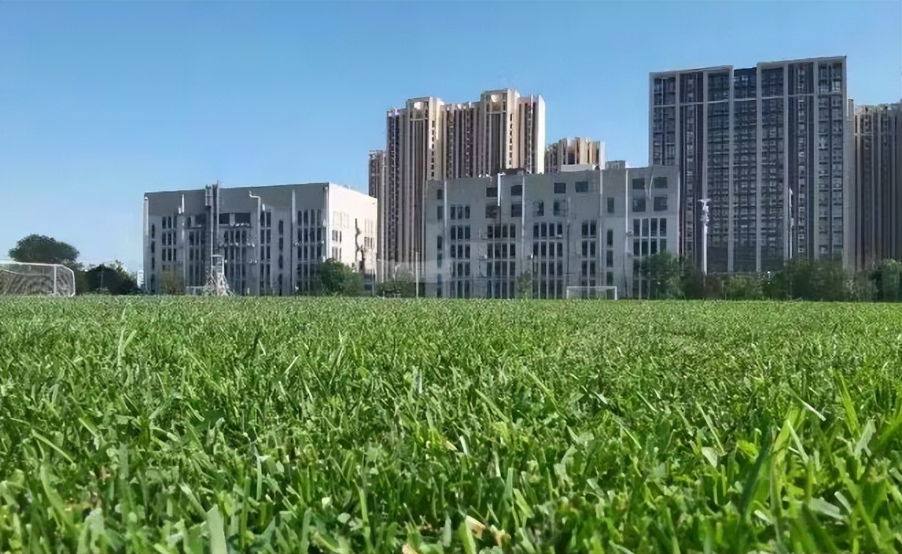 青岛海牛复出,青岛海牛将迎保级最关键一战