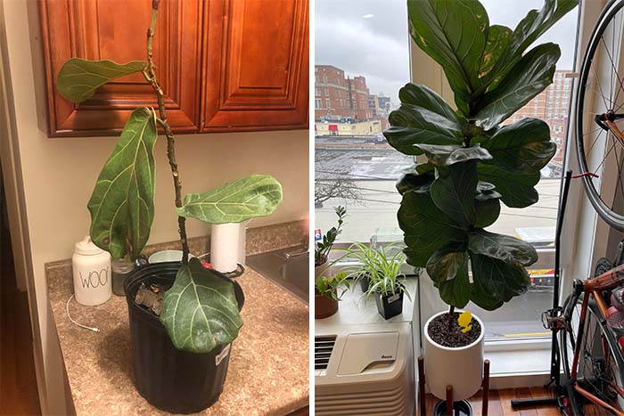 100张有趣的视觉图片,100张有趣的对比图片