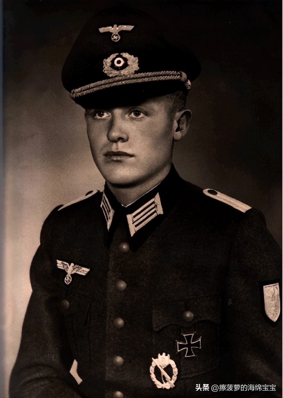 霍尔姆盾章二战德国,二战德国军奖章