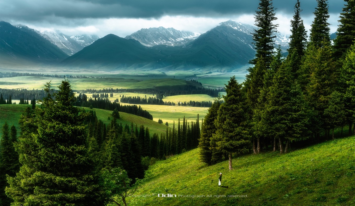 去新疆发现伊犁的美,世界之美尽在伊犁