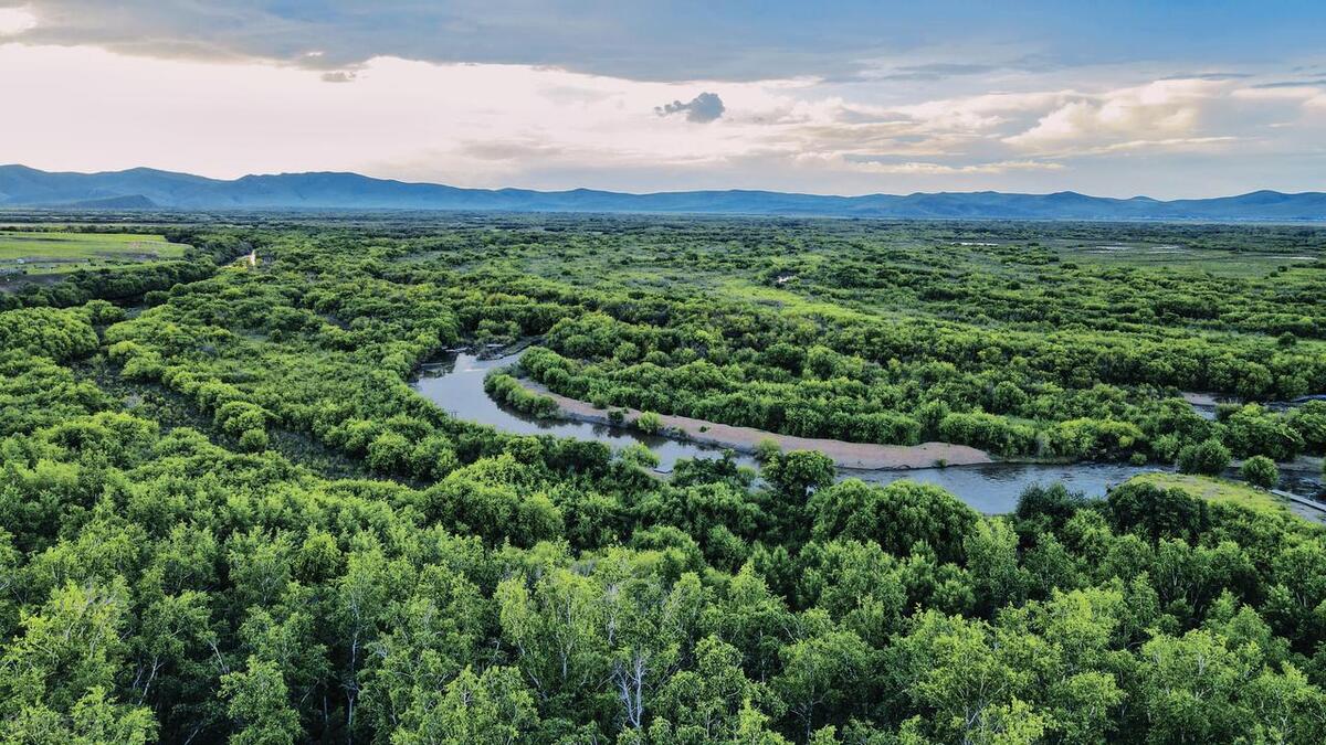 全国湿地最好的地方,中国十大湿地旅游景点排名前十