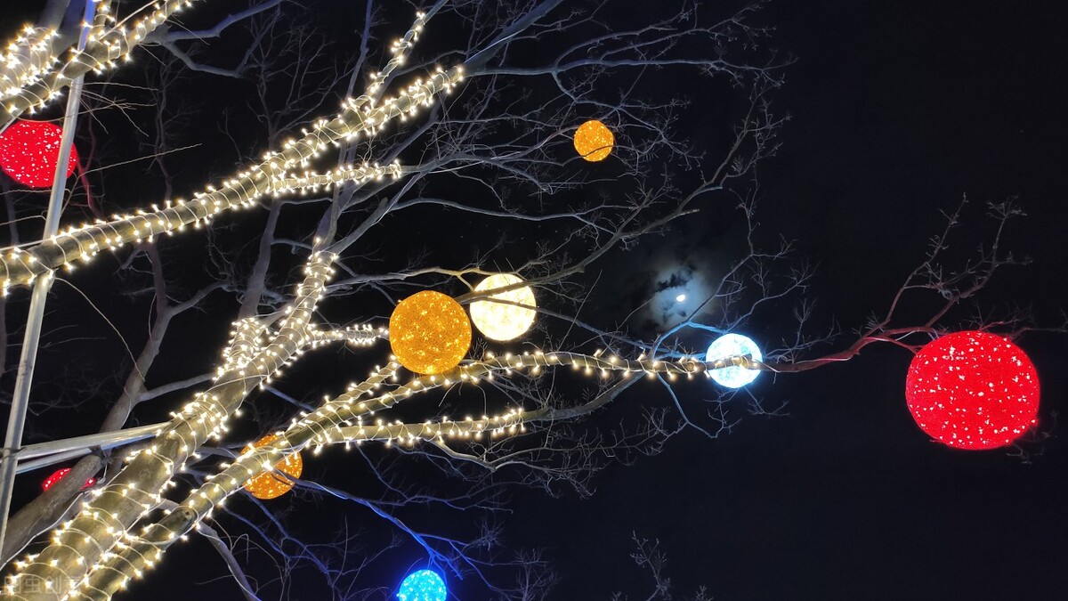 餐饮人的乐趣懂的都懂,餐饮的苦只有同行才能懂