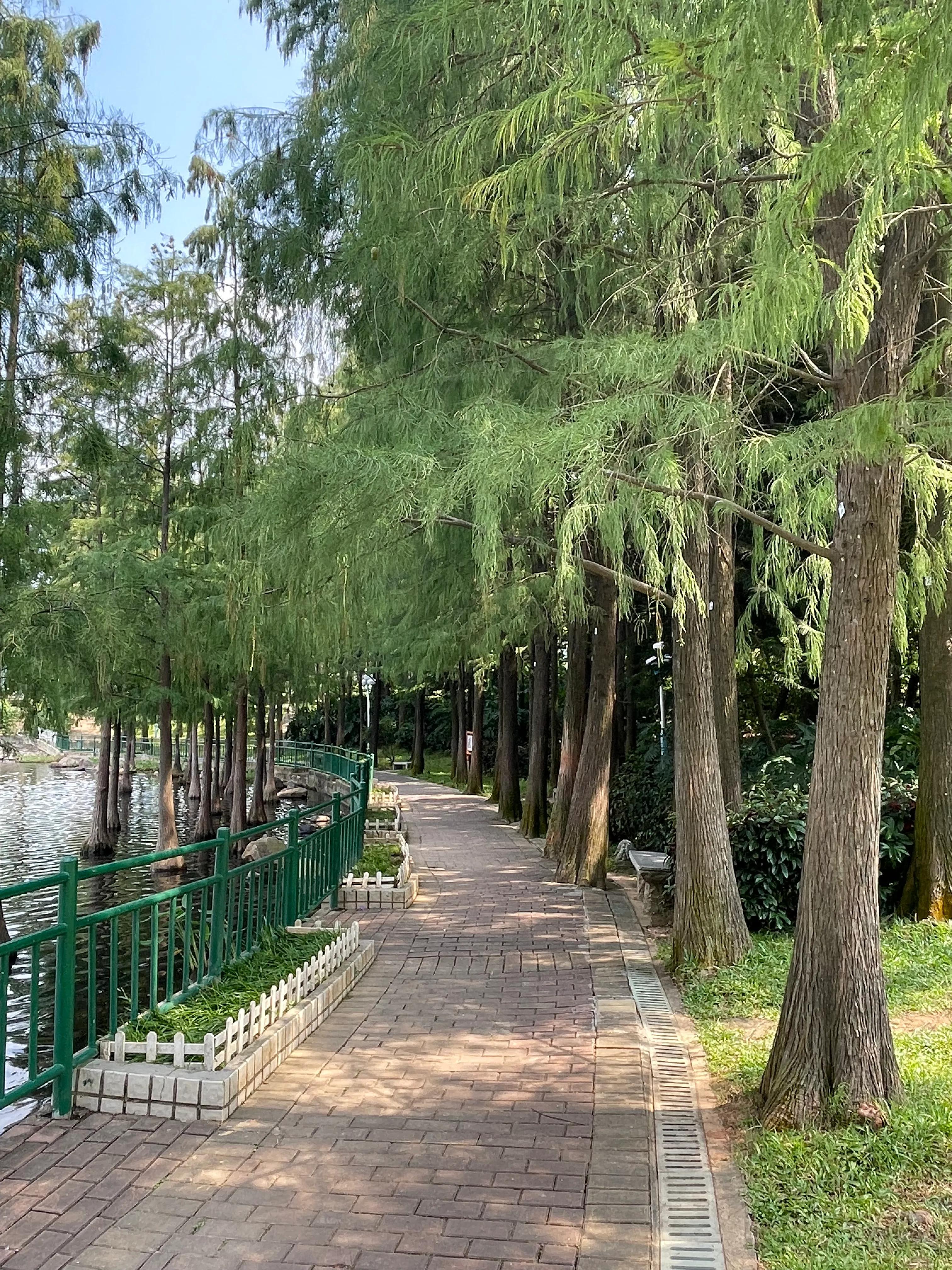 龙岗五联郊野公园,深圳市龙岗区双龙公园