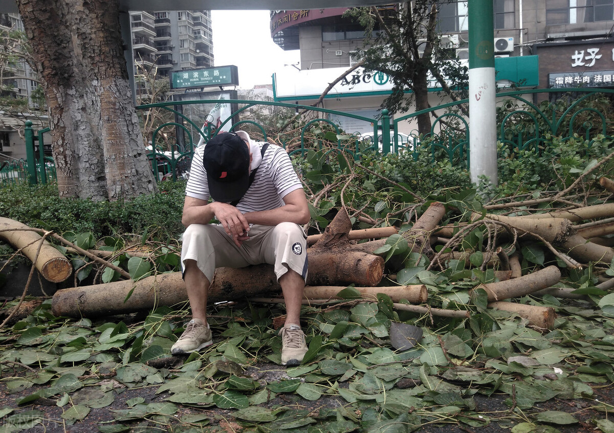 在厦门生活,在厦门生活工作的感受