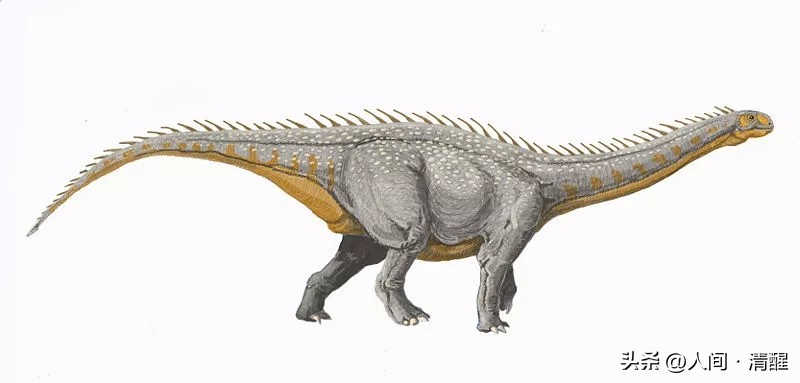 蜥脚类恐龙都有哪些呢,蜥脚类恐龙大小比较图