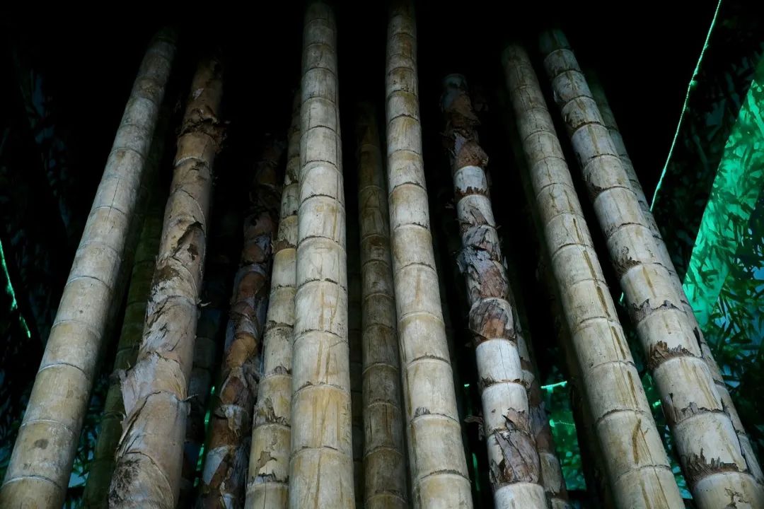 浙江市区度假酒店推荐,浙江轻奢酒店值得推荐