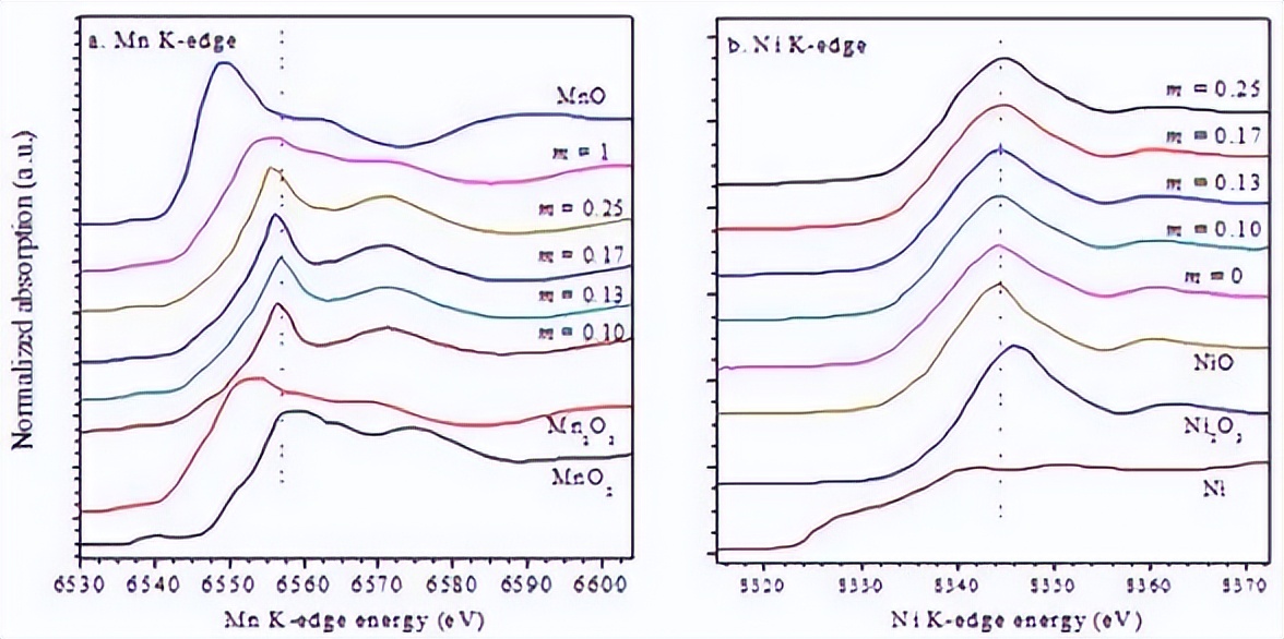通过热重仪解构CNB树皮，是否能高效率转化为高能量密度液体燃料